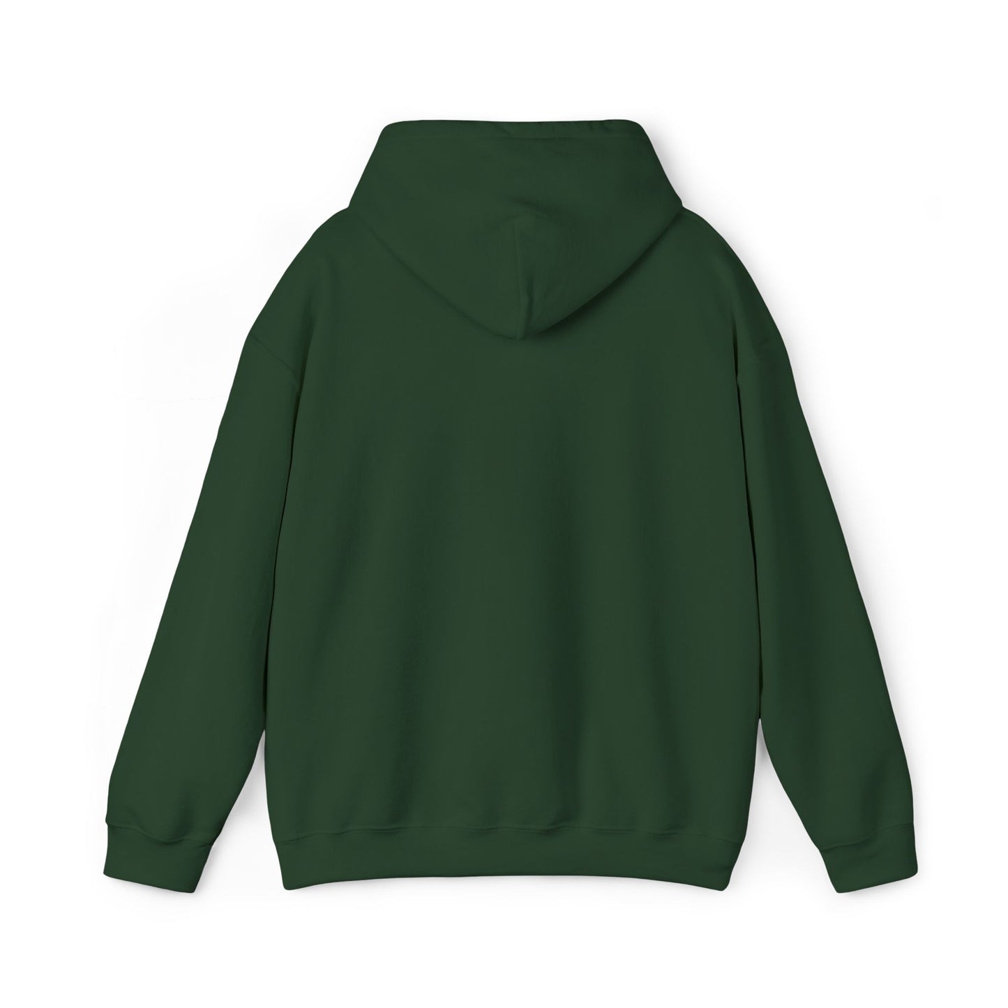 Idio Salvuccio Embroidered Hooded Sweatshirt