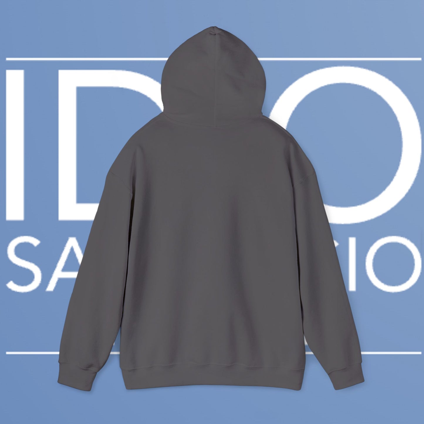 Idio Salvuccio Embroidered Hooded Sweatshirt
