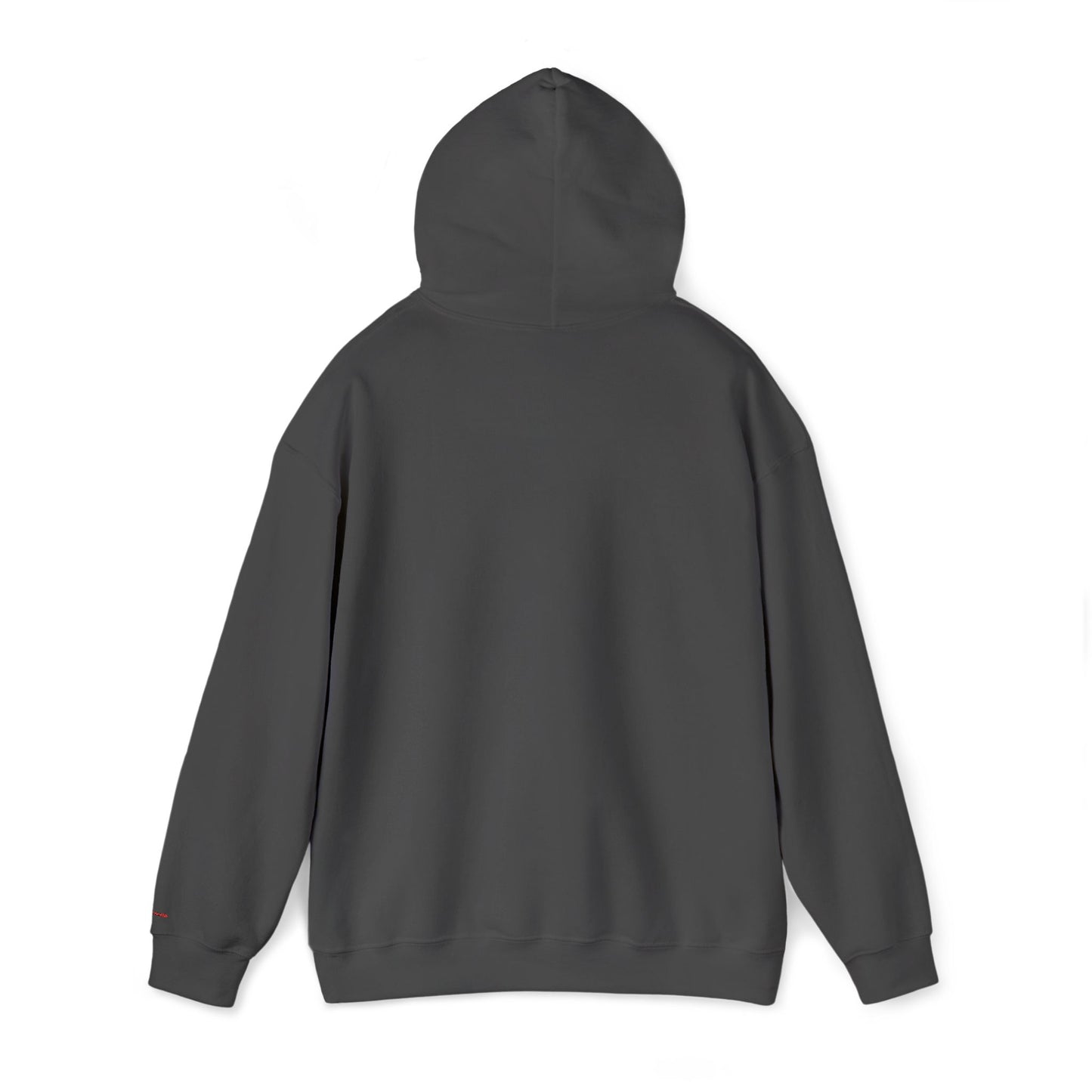 Idio Salvuccio Hooded Sweatshirt