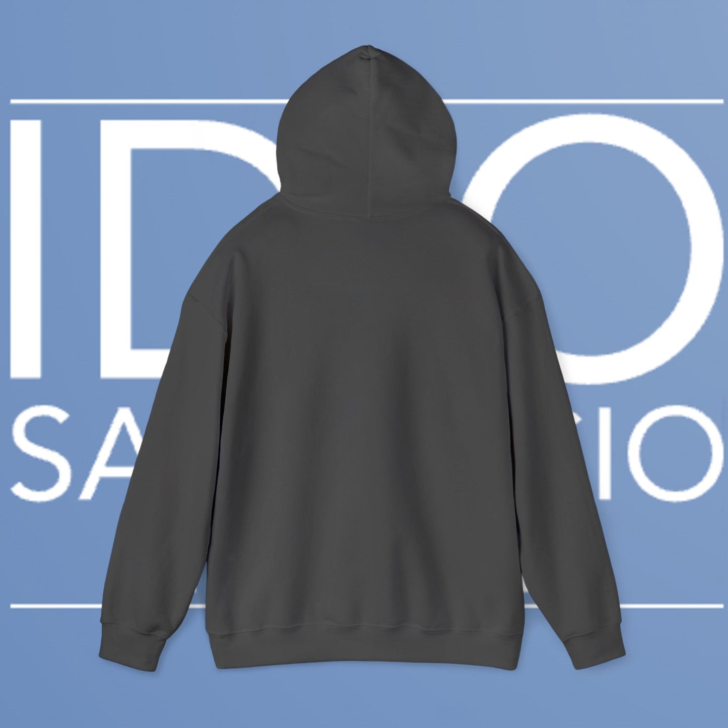 Idio Salvuccio Embroidered Hooded Sweatshirt